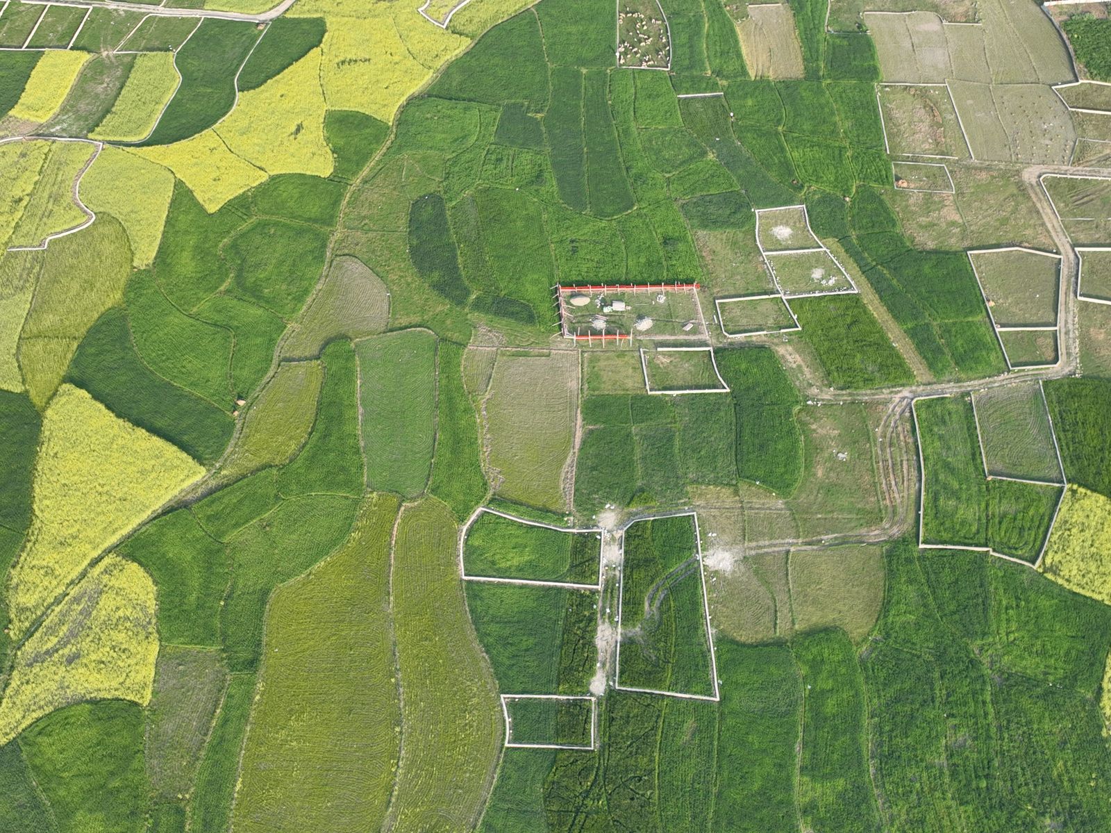 Aerial mapping view of agricultural fields